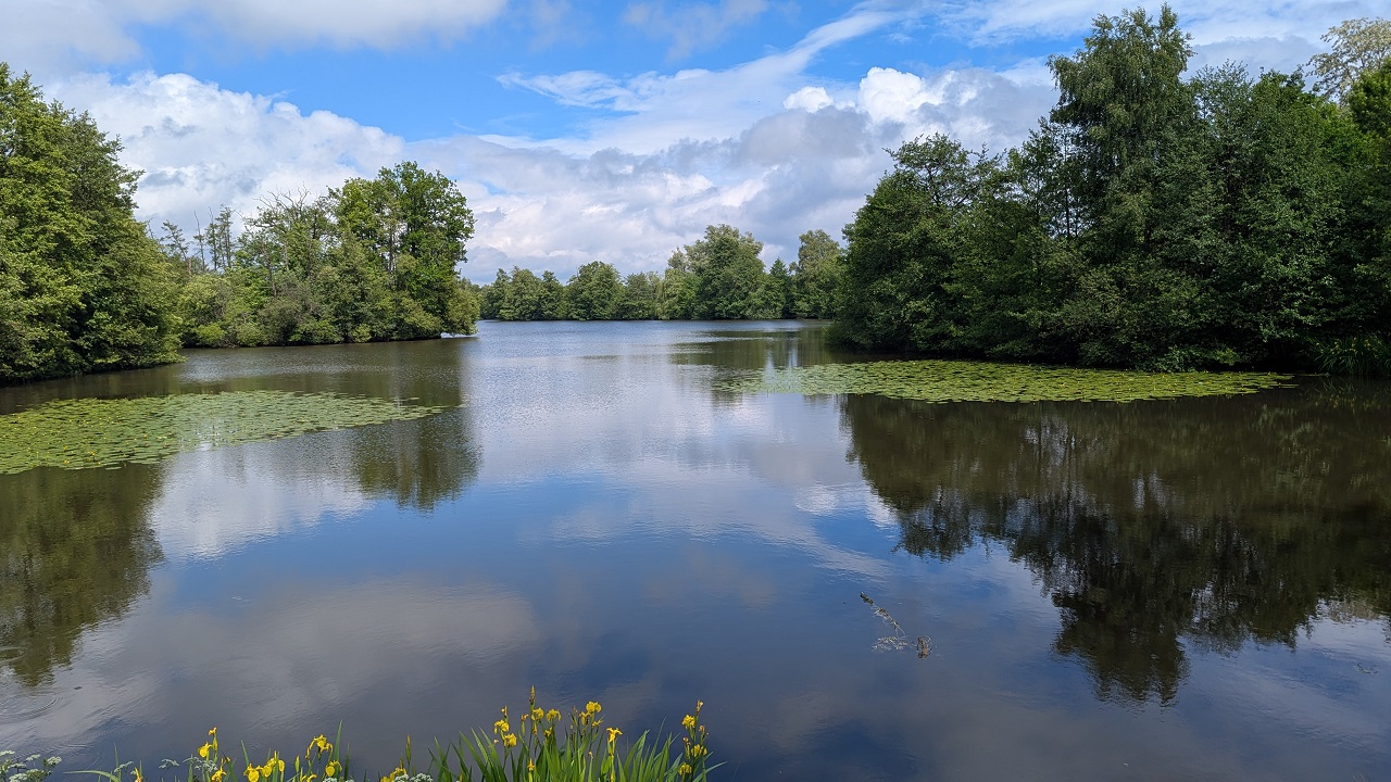 Bild vom Hasportsee